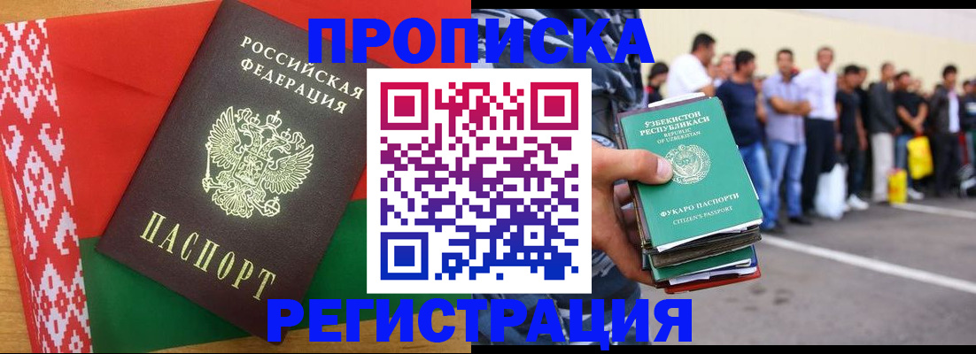 временная регистрация надежно в Курчалом